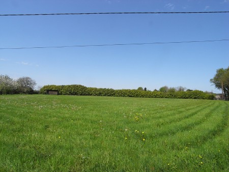 Manor House Nestled in 8 Hectares