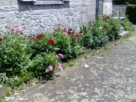 Maison de Maitre to be Sold Furnished