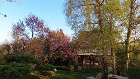 Pretty House near Versailles