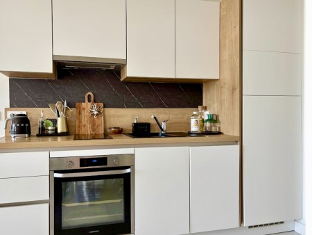 Apartment with Large Terrace in Nice